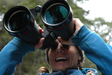 Spring checking wind through binoculars